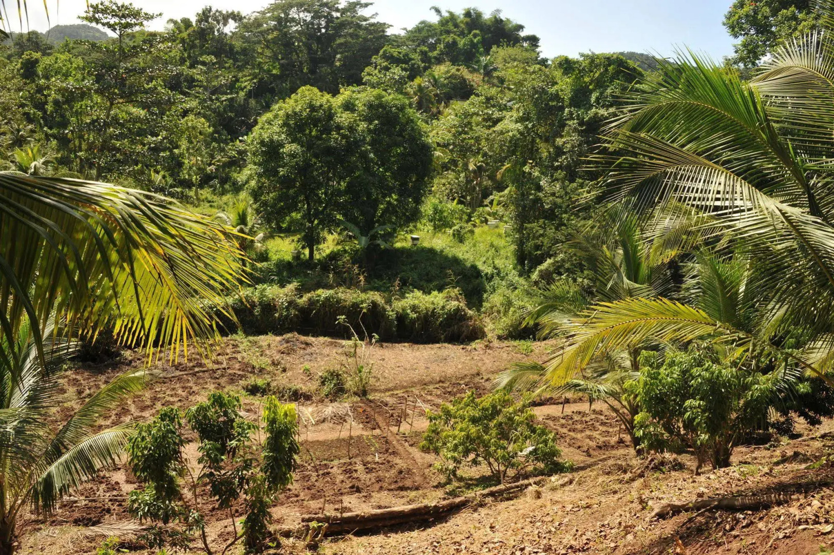 Zimbali Culinary Retreat