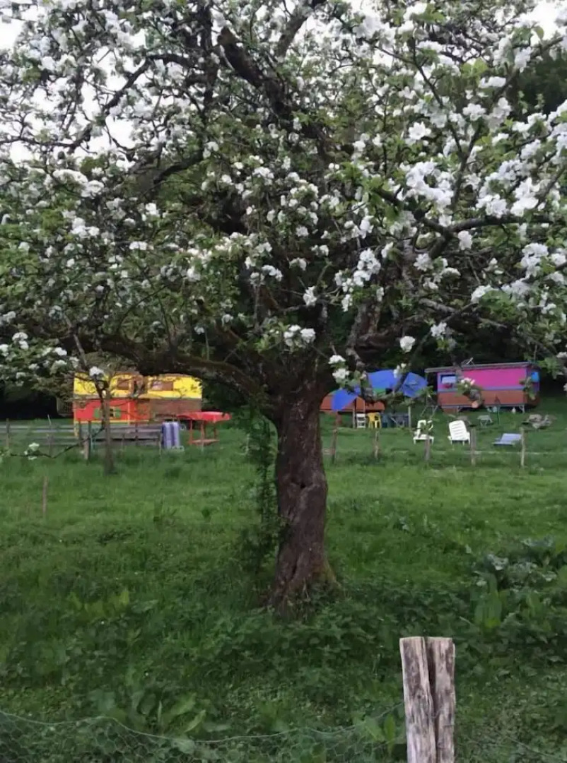 Les Roulottes à la Ferme du Magny-Robert