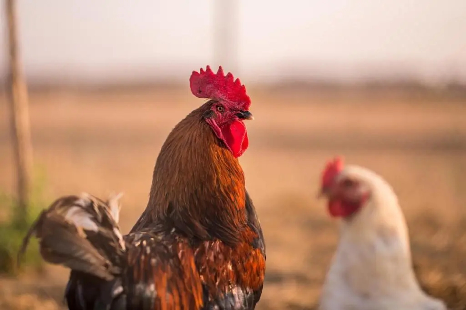 Relax Zone Vrchovina