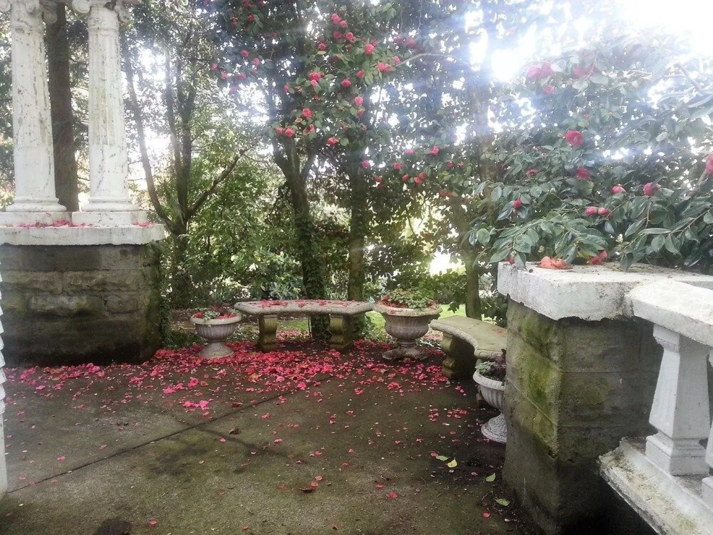 Evermore Guesthouse