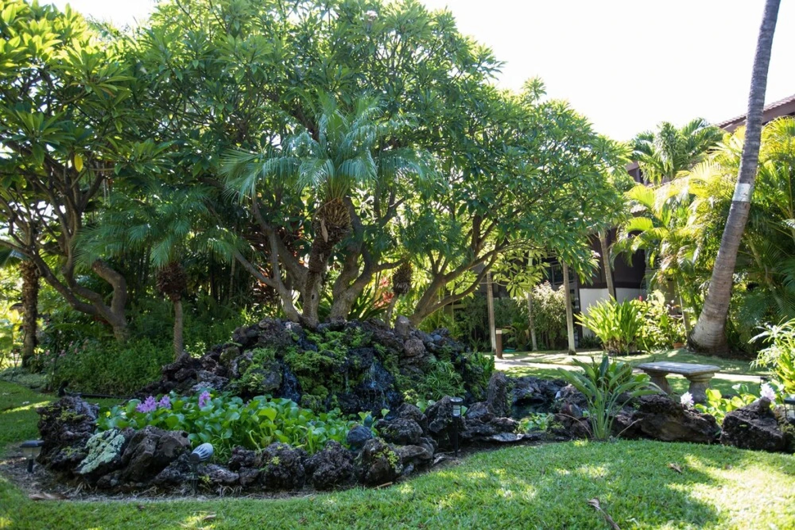 Kihei Resort 129 - One Bedroom Condo