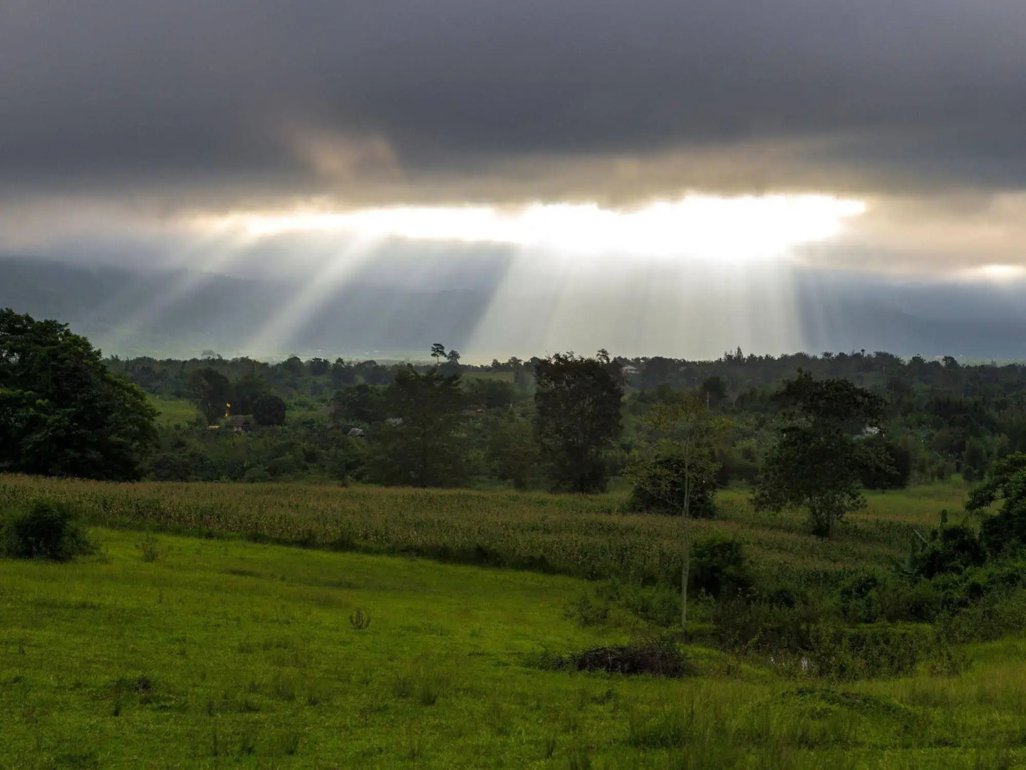 Village Farm and Winery