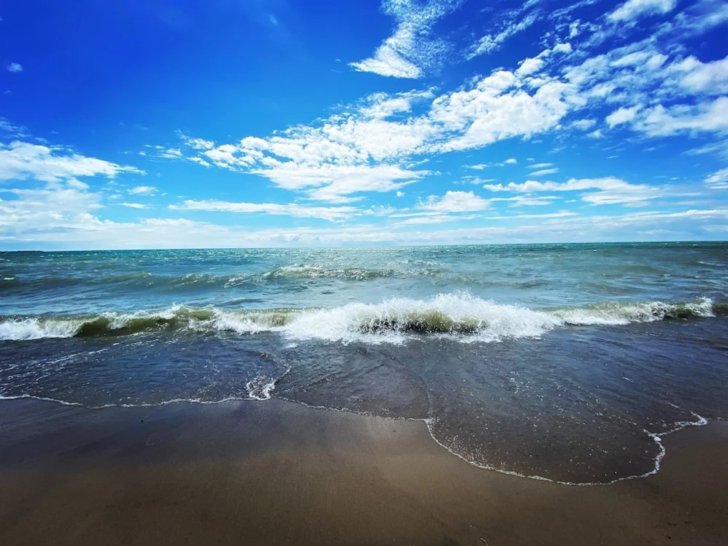 Brand New Walk Out Bsmt Apt Near Beach