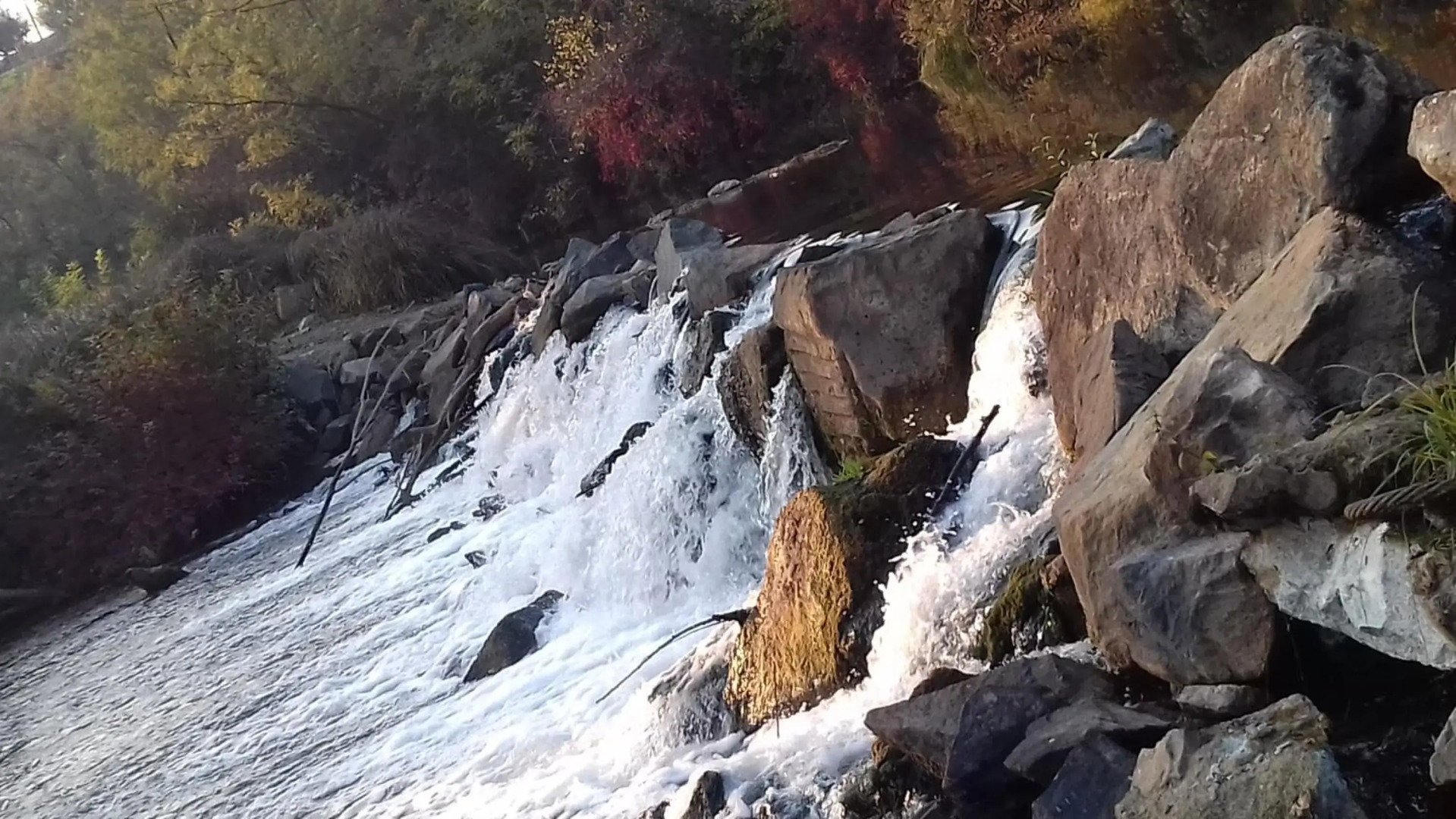 Studio apartman Trdina