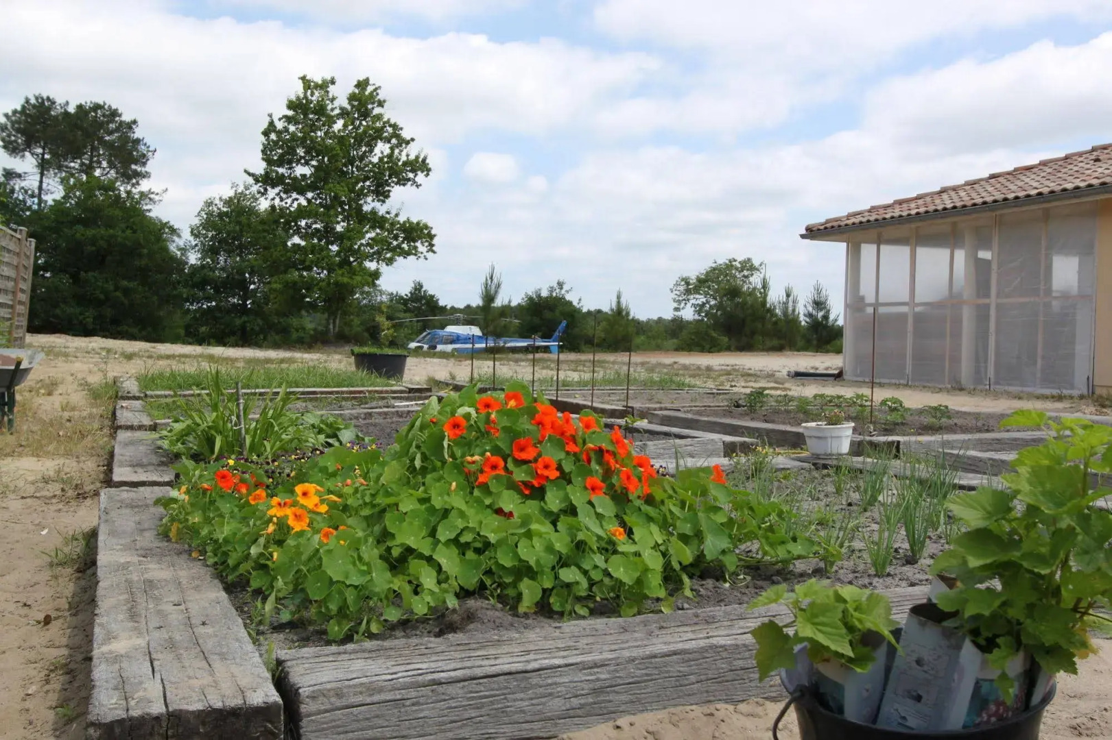 Au Ptit Creux Des Landes
