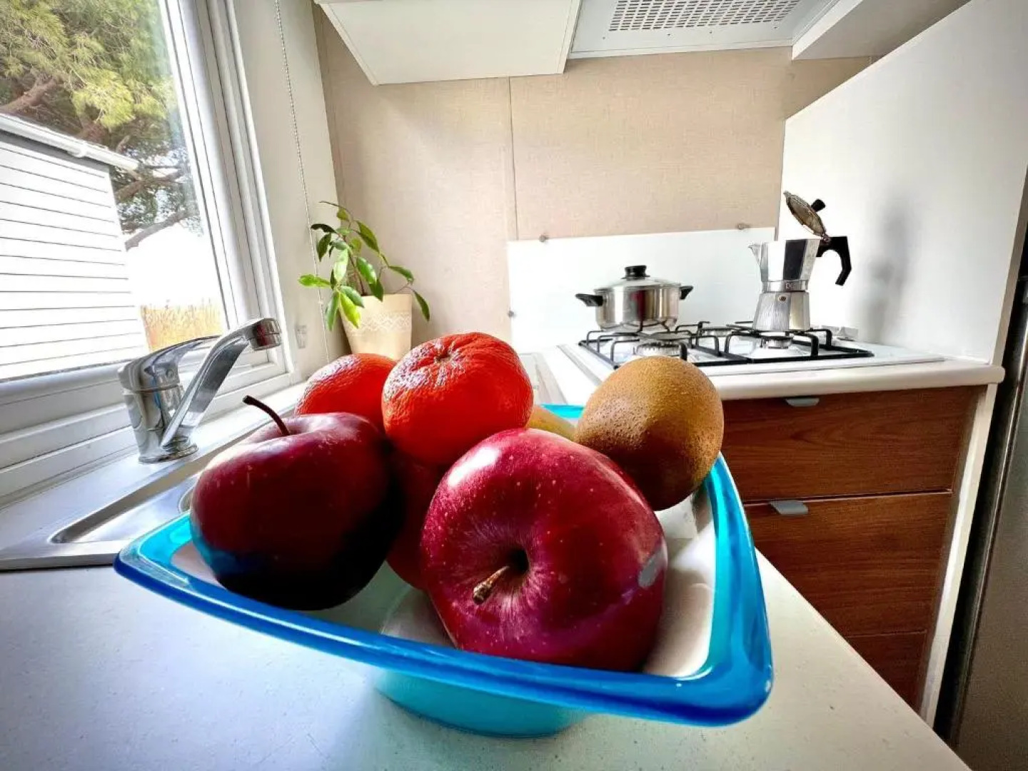 Camping Village Tuscia Tirrenica