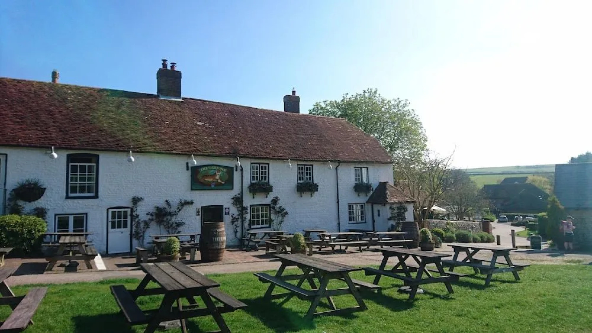 Patience - Tiger Inn