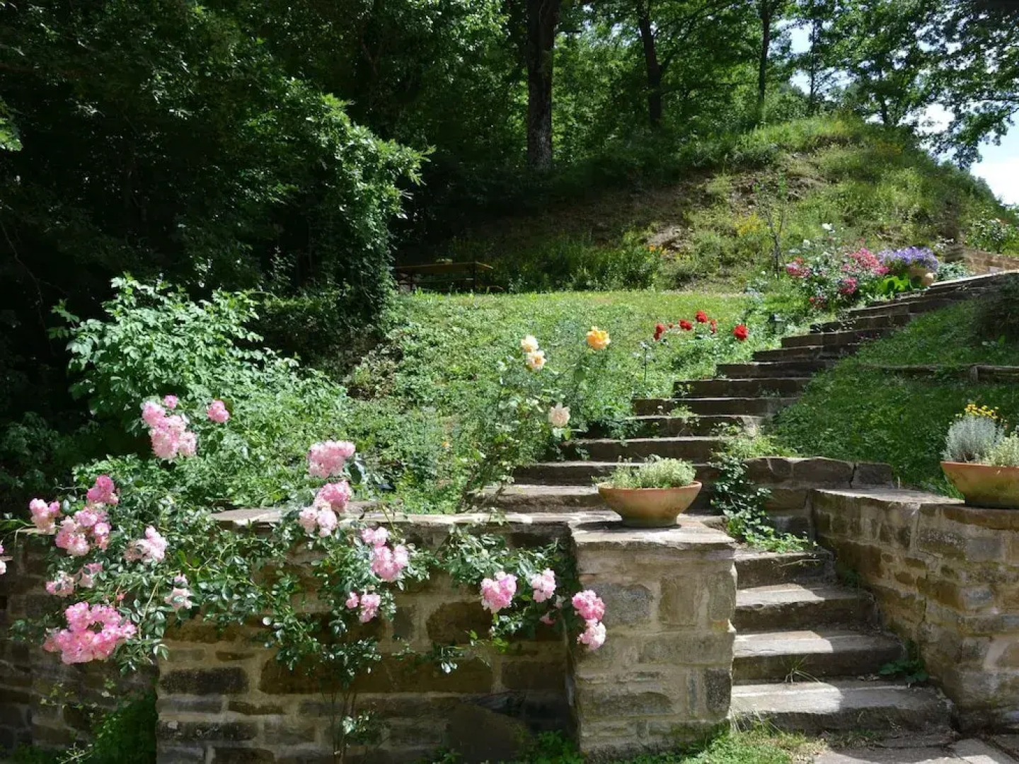Rustic Country House in the Hills and Forests With Swimming Pool