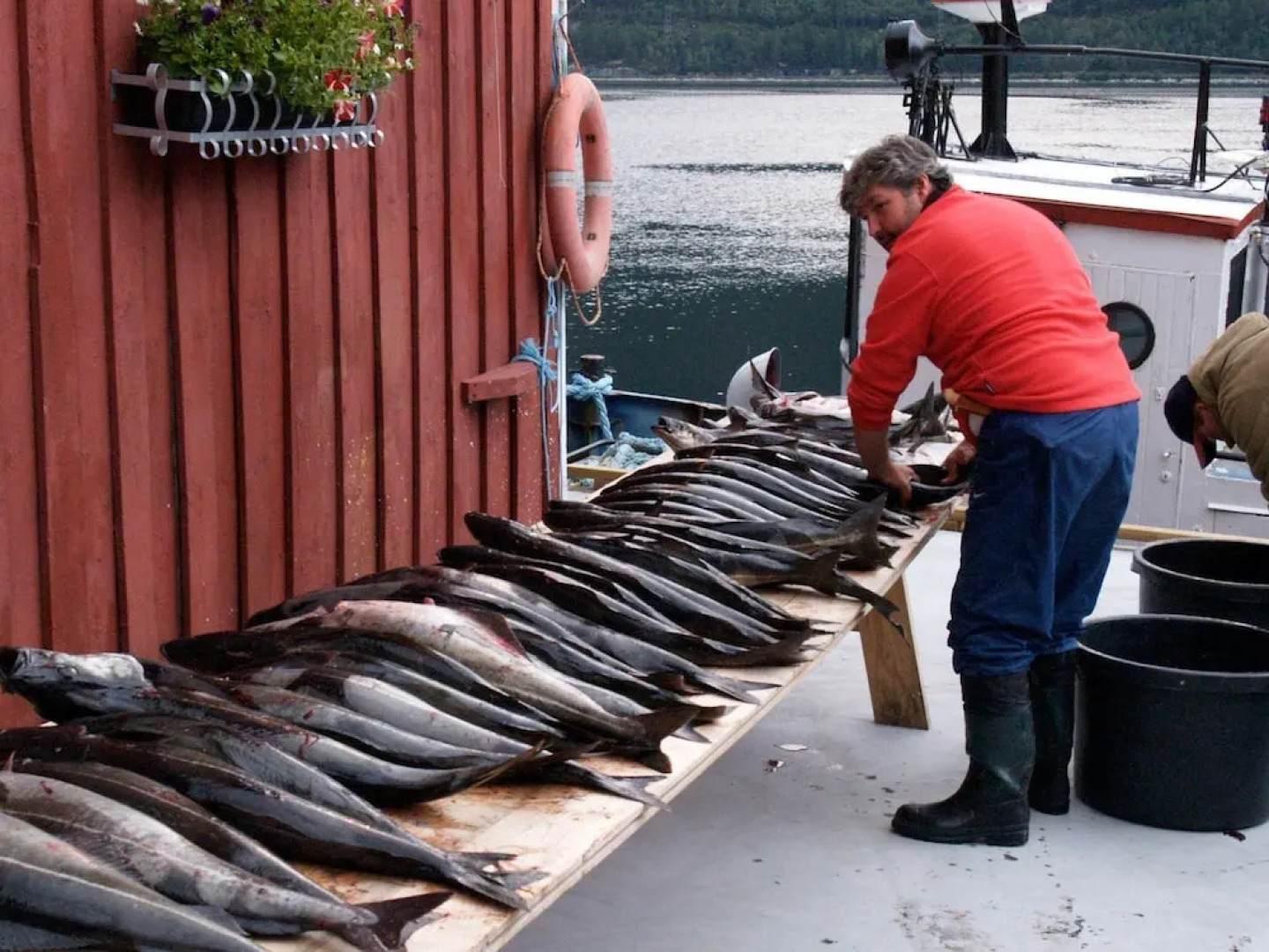 Holiday Home in Todalen