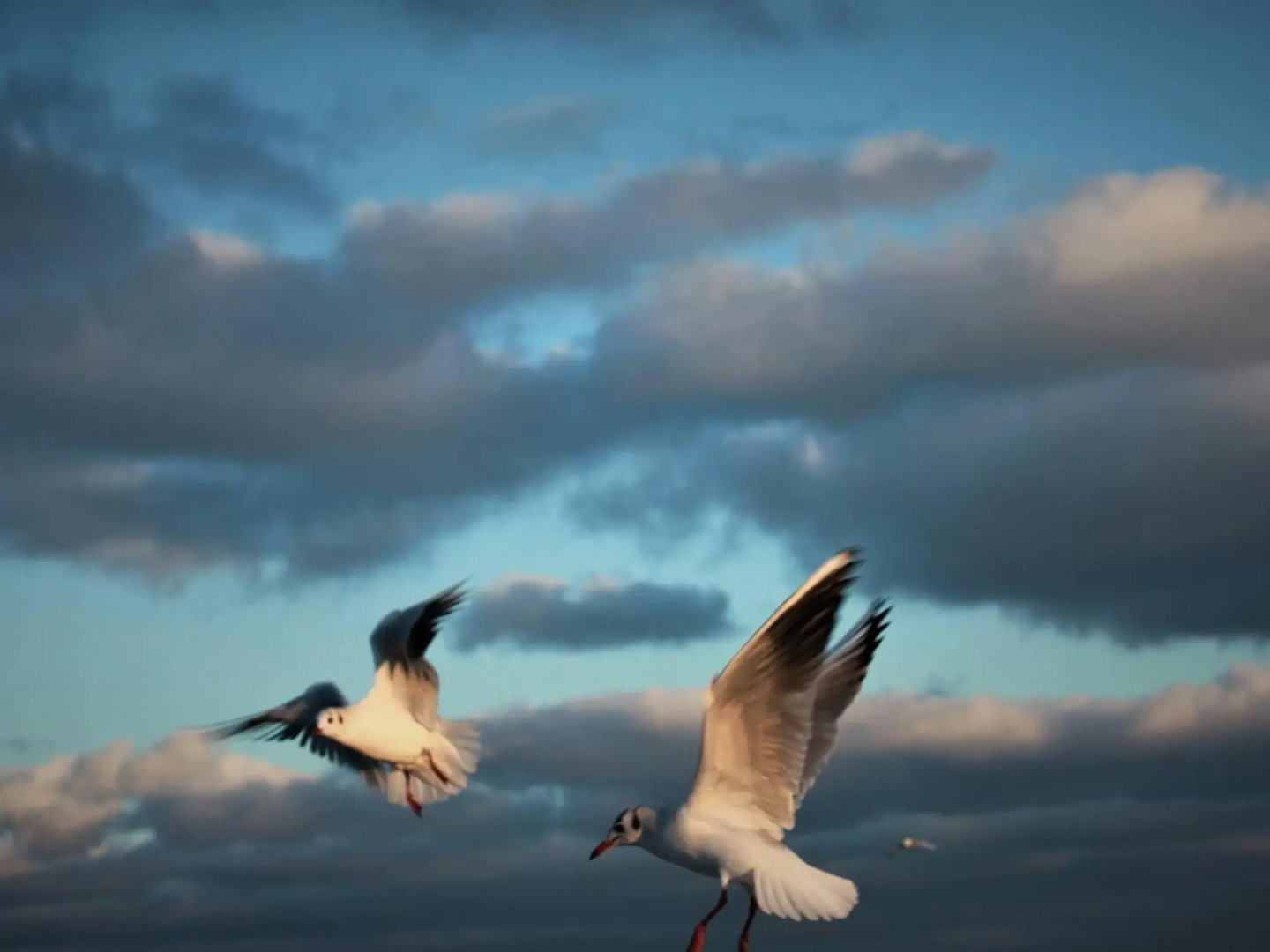 Apartament z prywatnym, krytym basenem