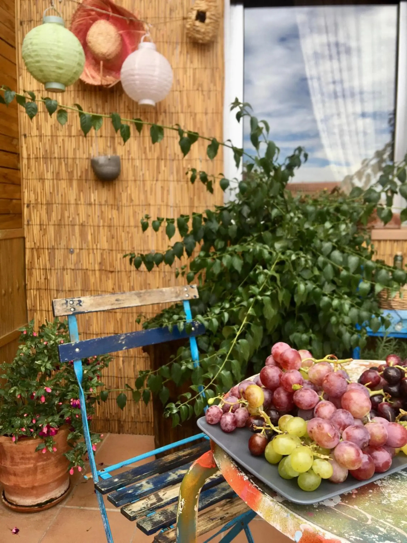 La terrasseta