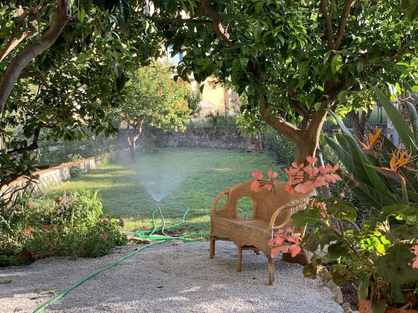 Il Giardino Dei Limoni