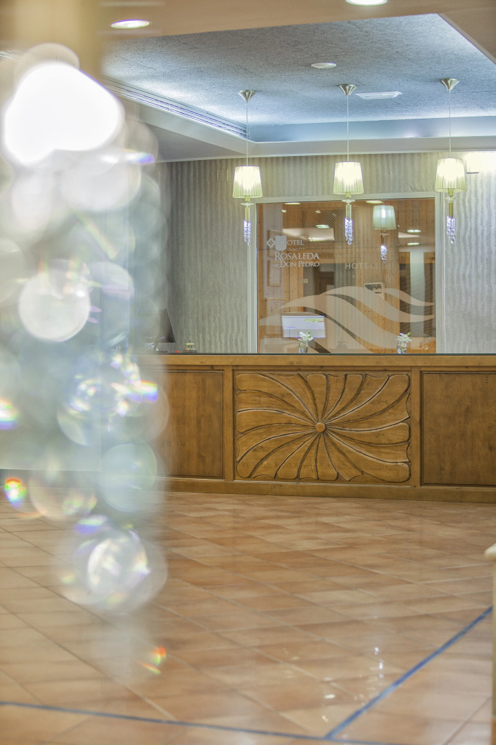 Hotel Rosaleda de Don Pedro