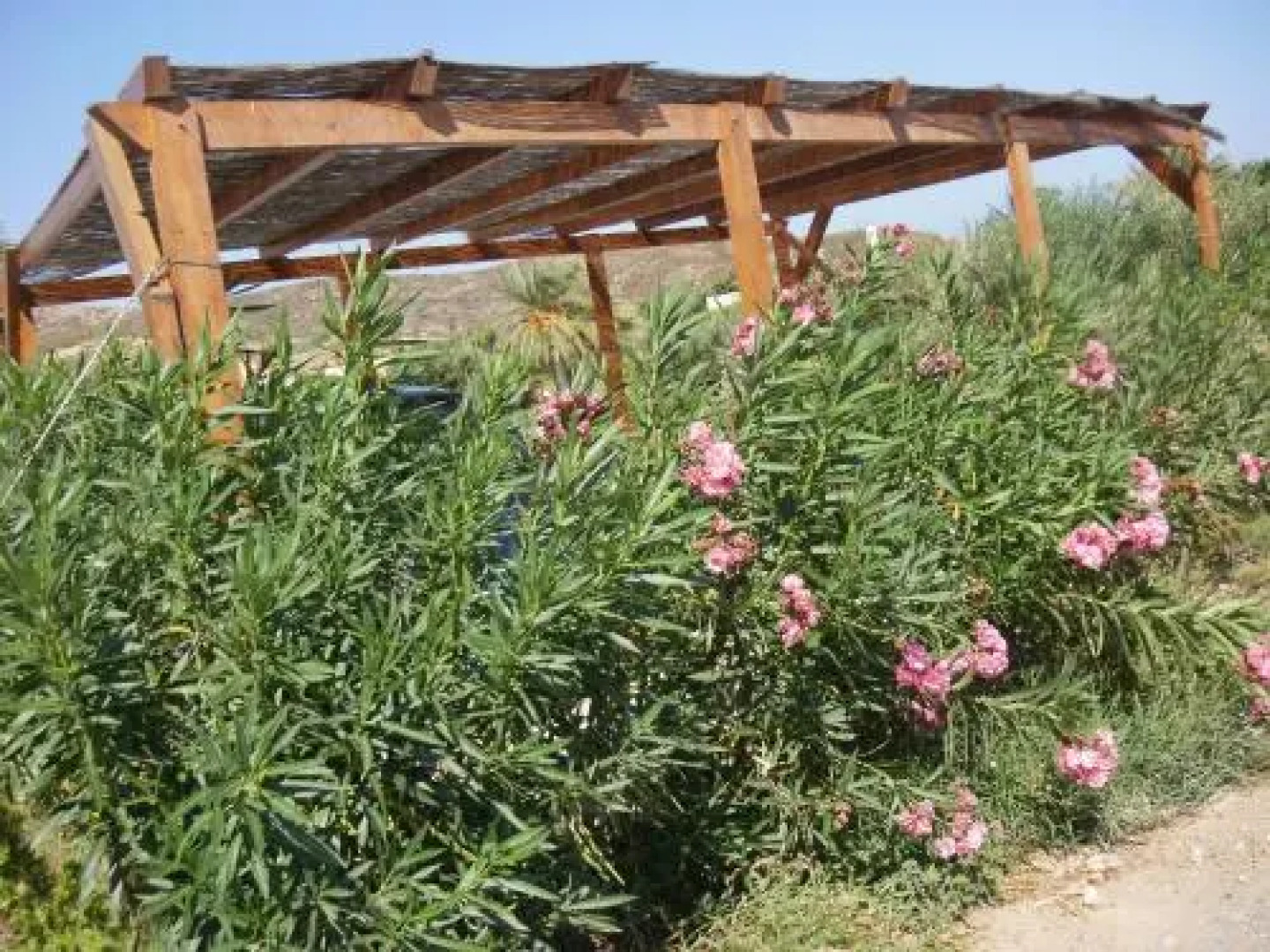 Kouremenos Beach Apartments