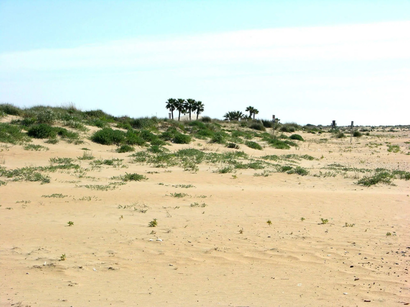 Apartamentos Calypso