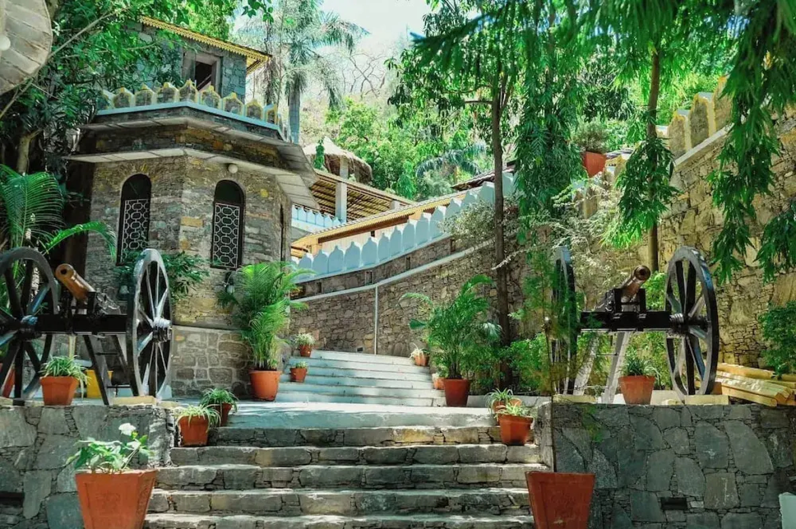 The Aodhi