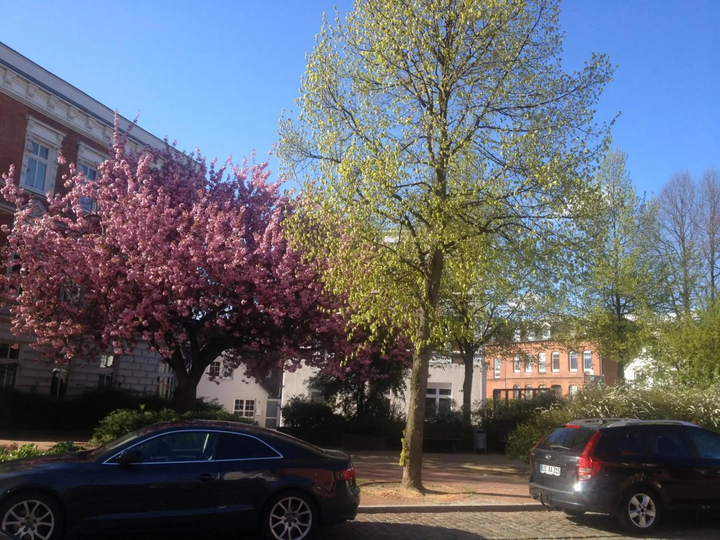Ferienwohnung Wilde - Holzkamp