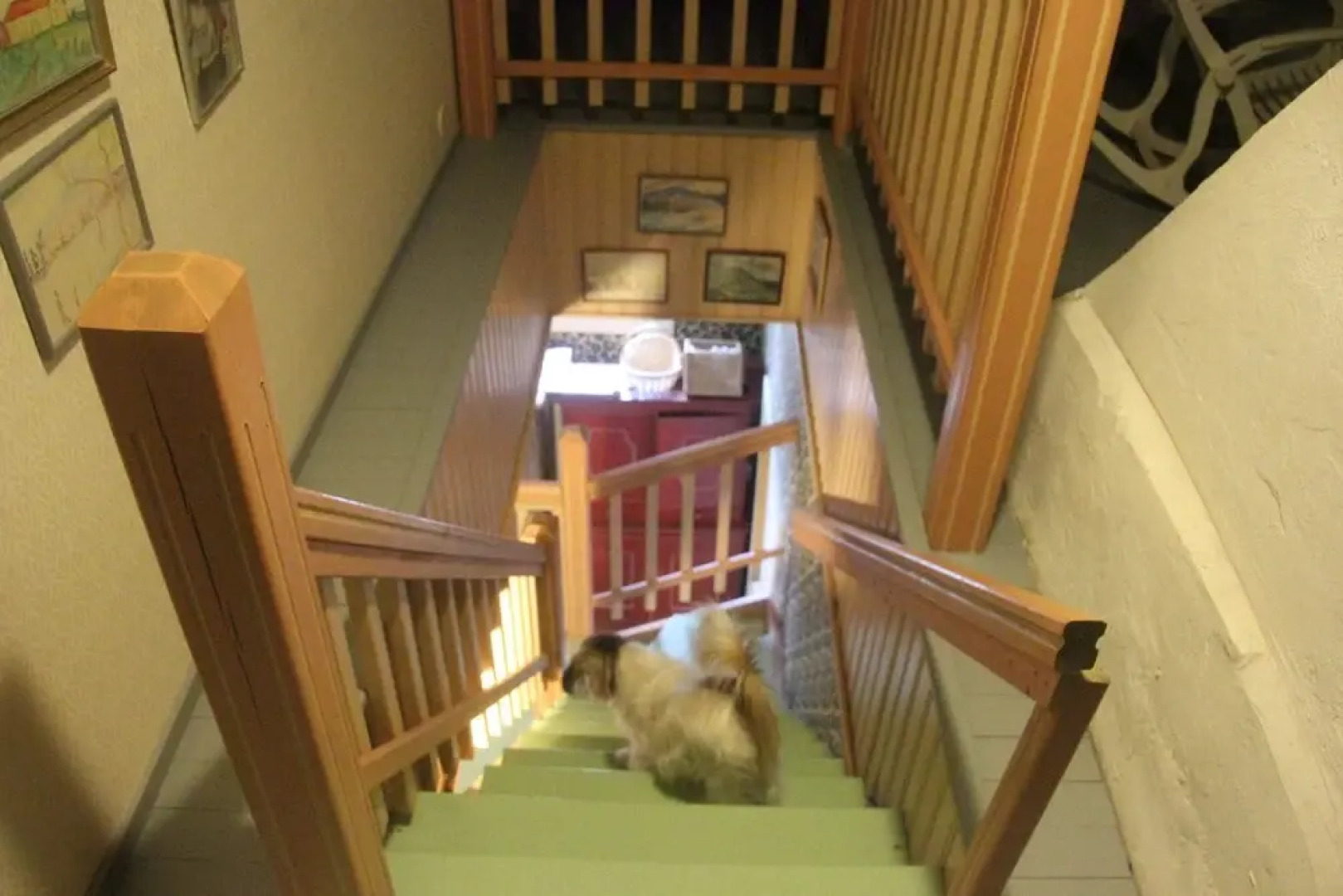 Majatalo Veikeä Vuohi