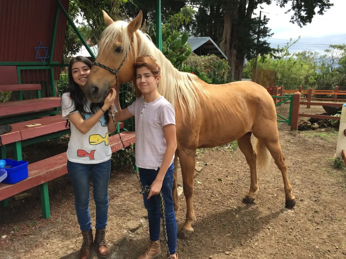 Remarkable Family & Groups Value. Unbeatable Location