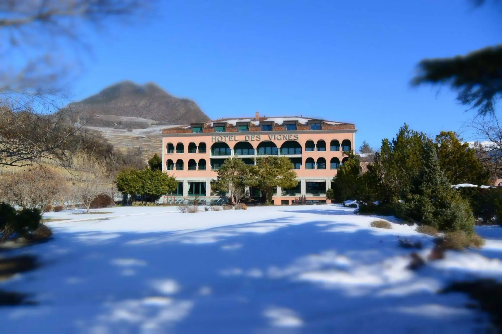 Hôtel des Vignes