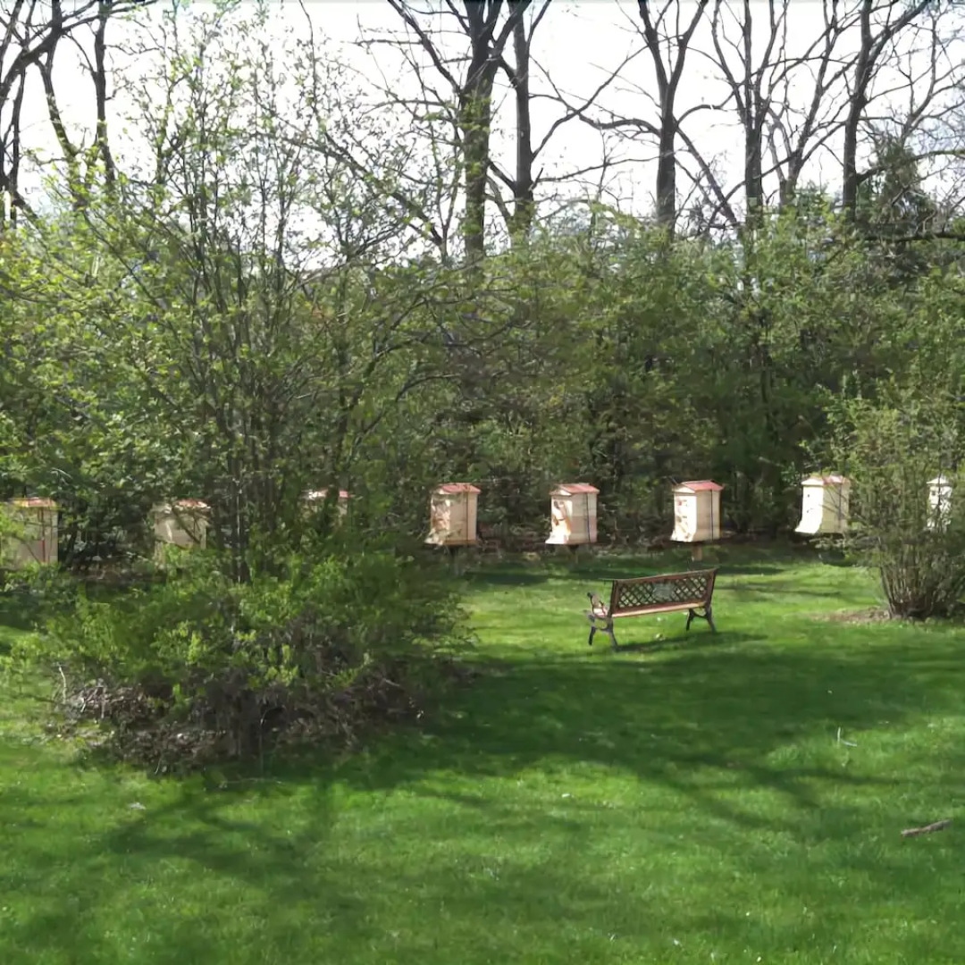 The Windermere Manor Hotel & Conference Center