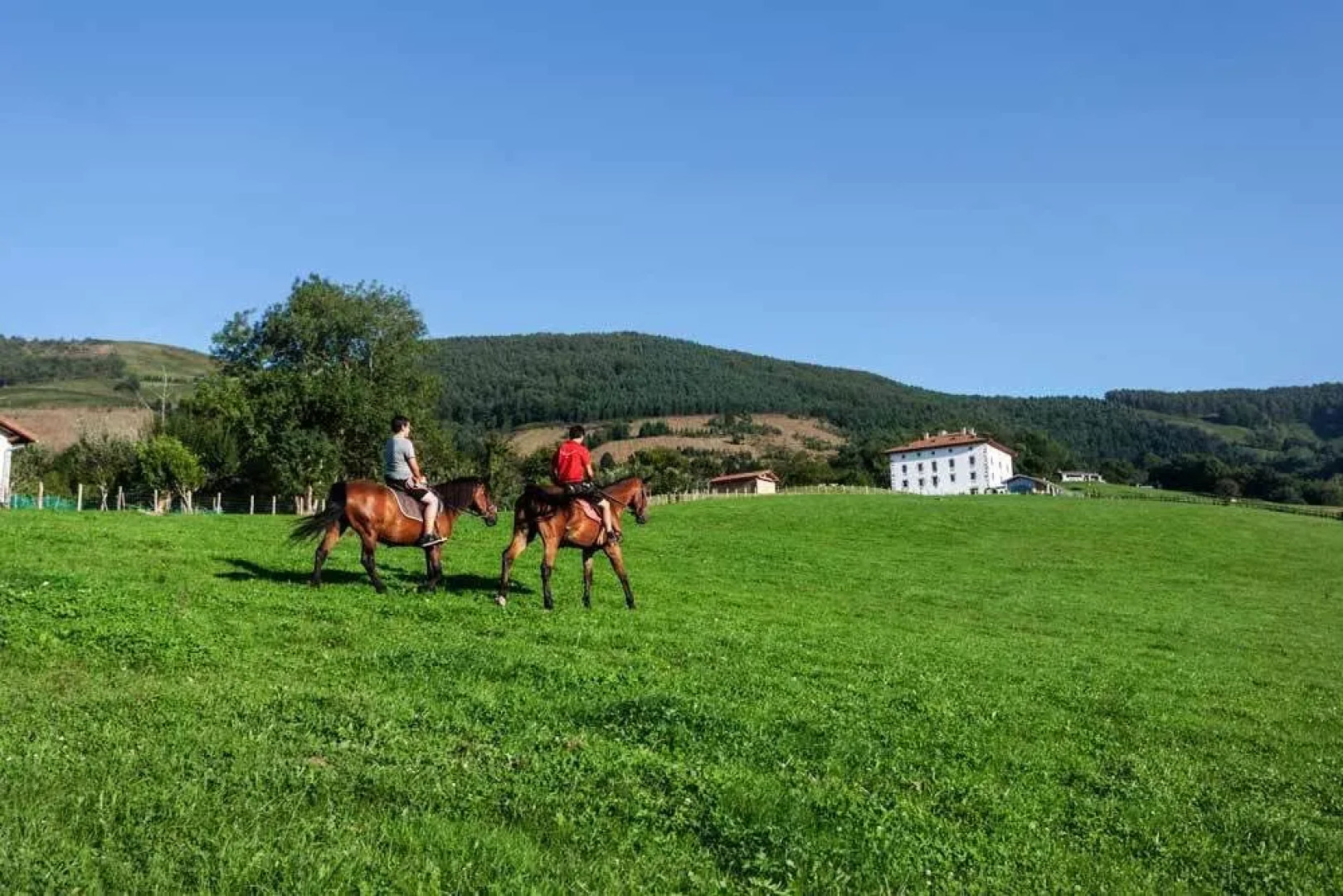 Youth Hostel Non Stop Inn by IrriSarri Land