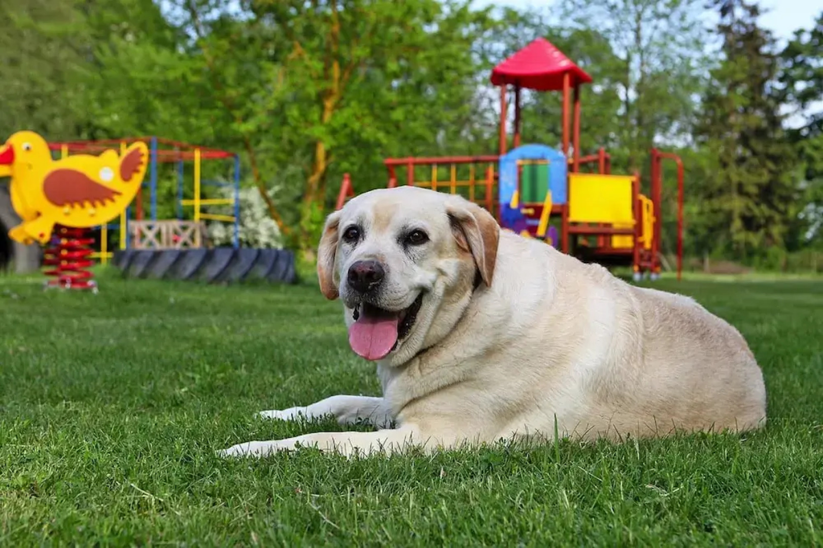 Ferienhauser am Kummerower See, Verchen