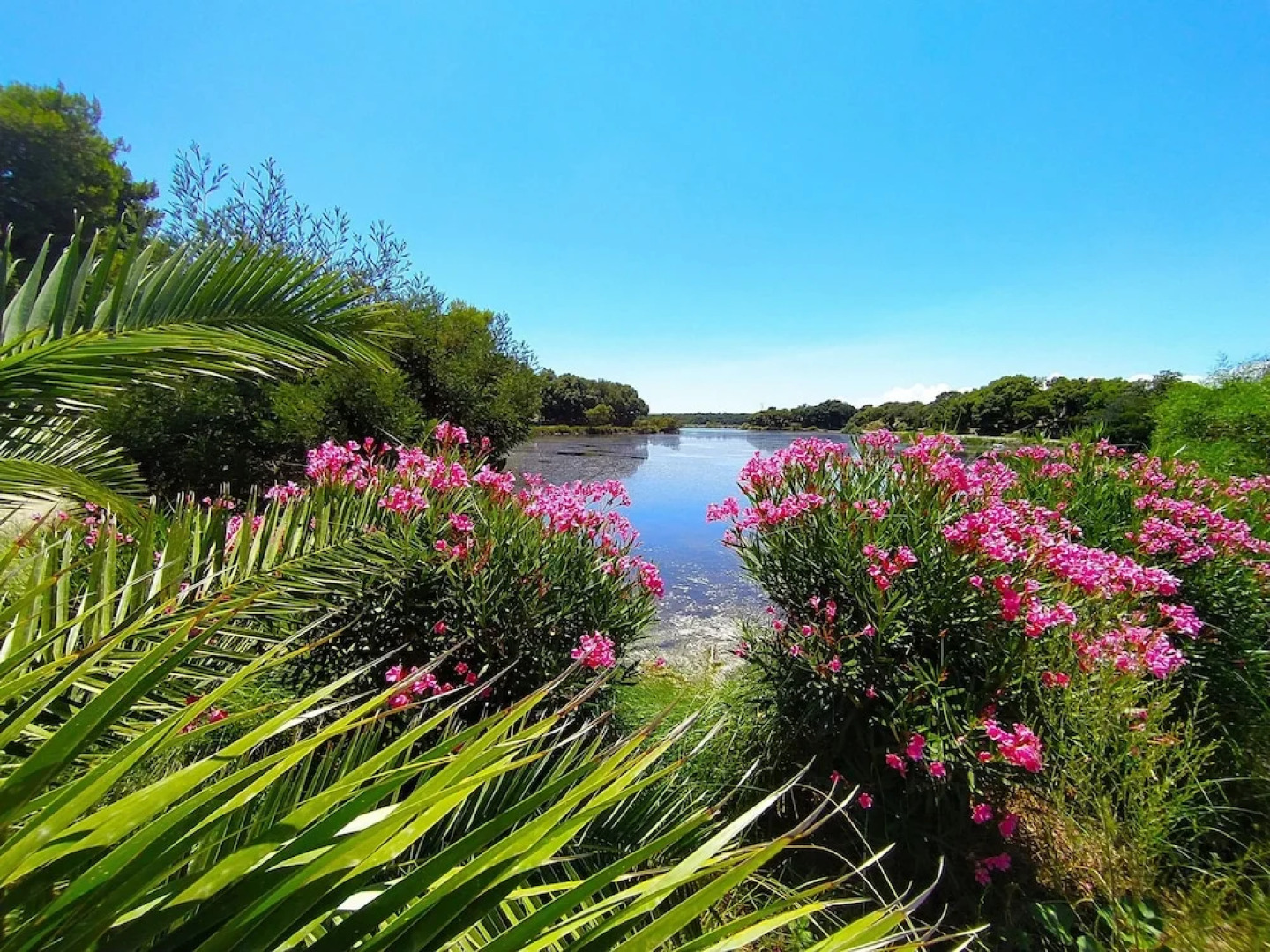 Riva Bella Naturiste Thalasso & Spa Resort