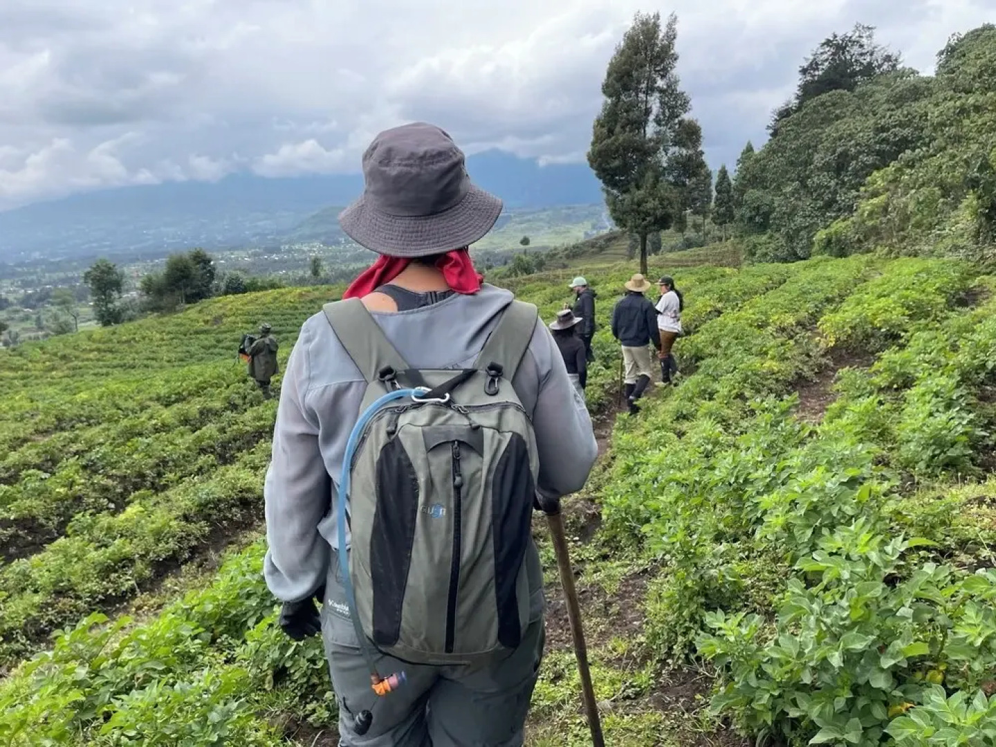 Room in B&B - Nice Rooms, Unbeatable Prices