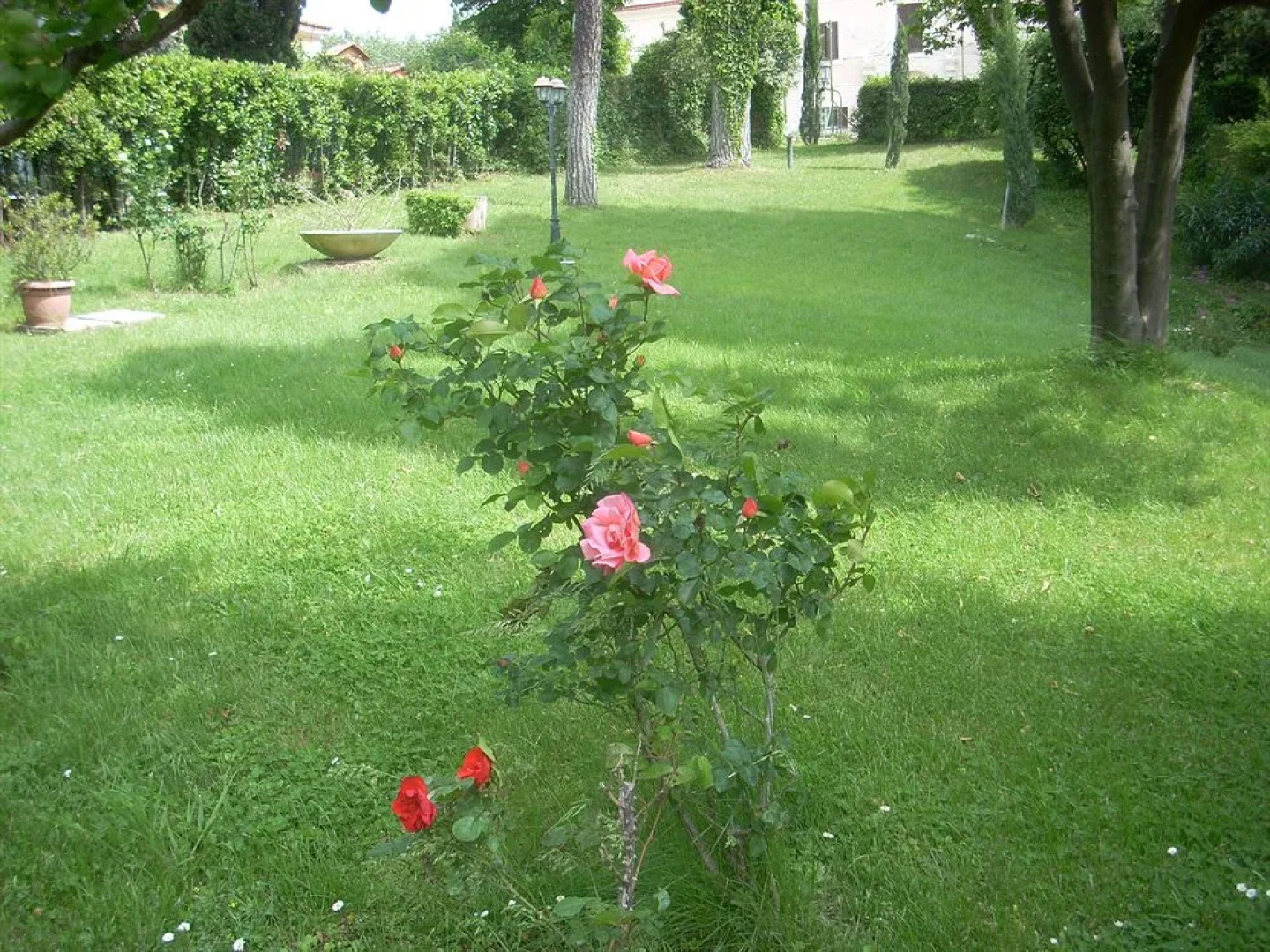 Massimi City Garden Hotel