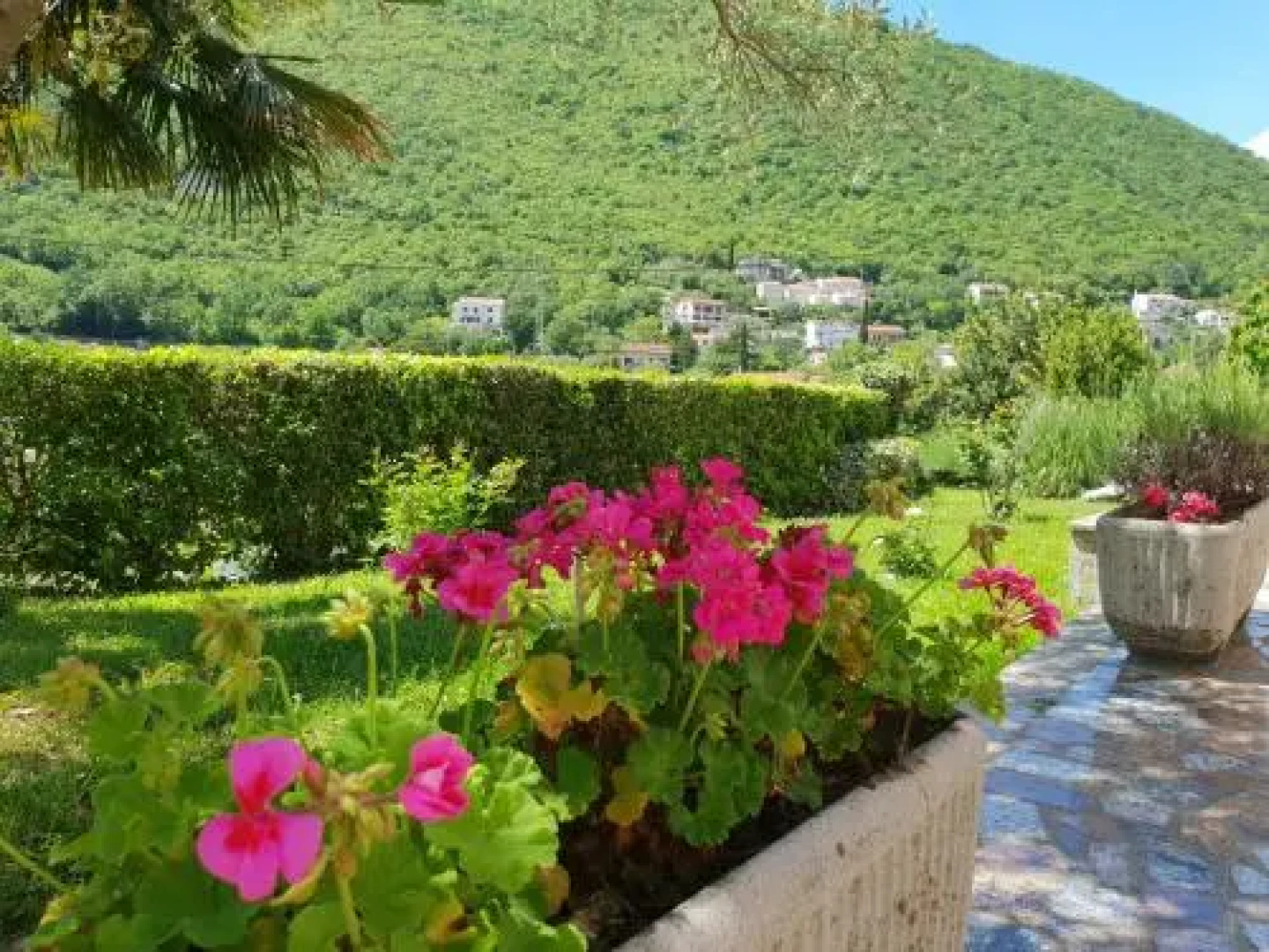 Apartment and B&B Mikleus