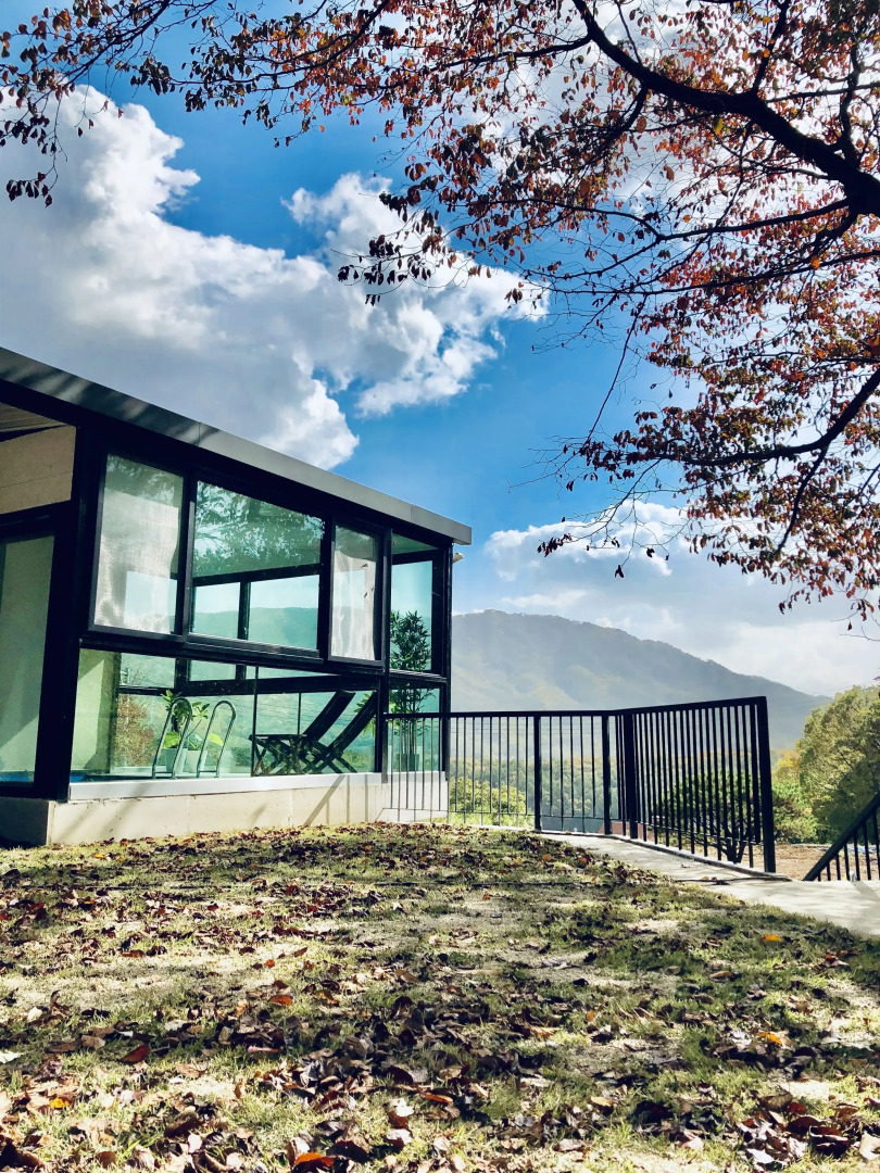 Two Romantic Birds Pool Pension