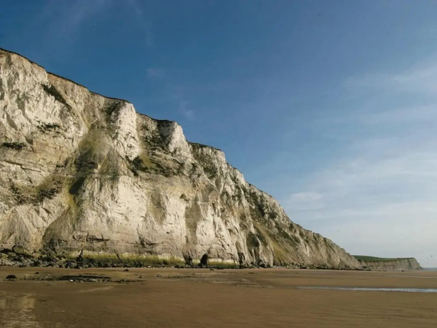 Appartement Audinghen, 1 pièce, 2 personnes - FR-1-376-68