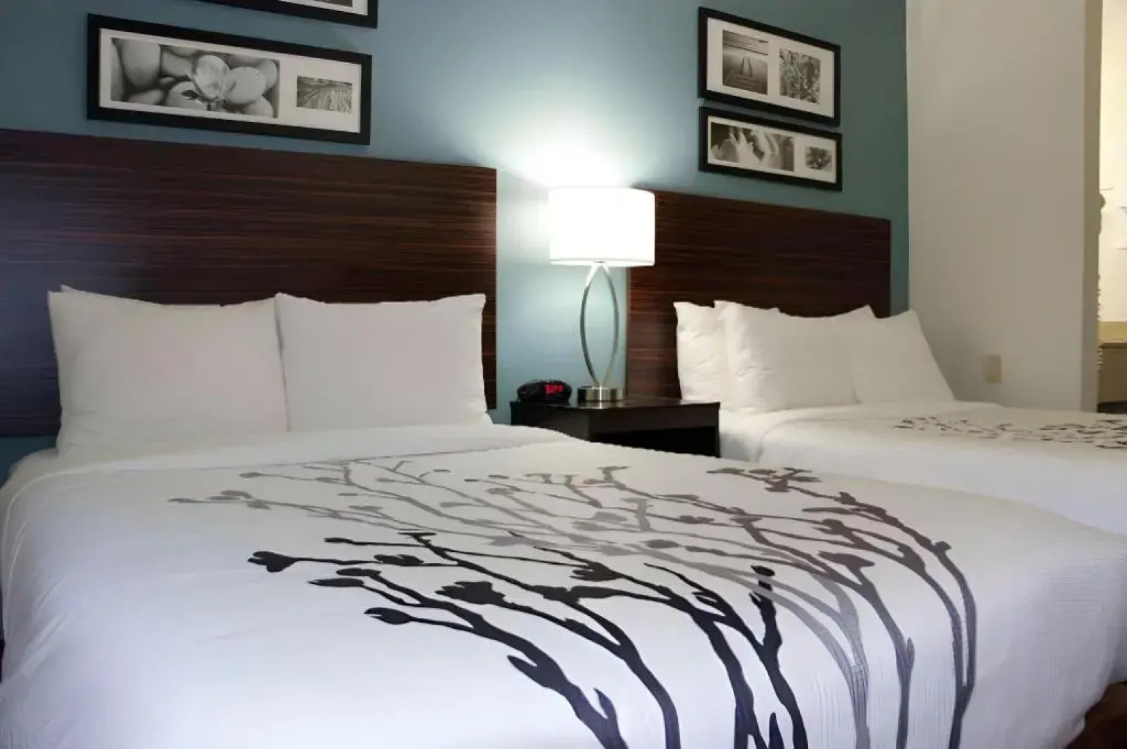 Sleep Inn Chattanooga Hamilton Place