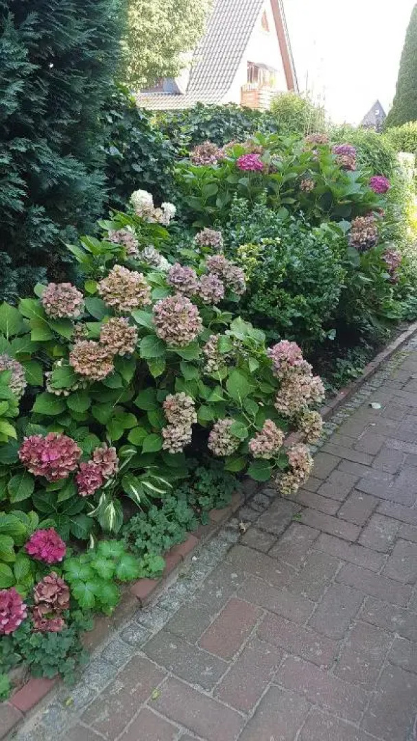 Stylisches Garden Cottage