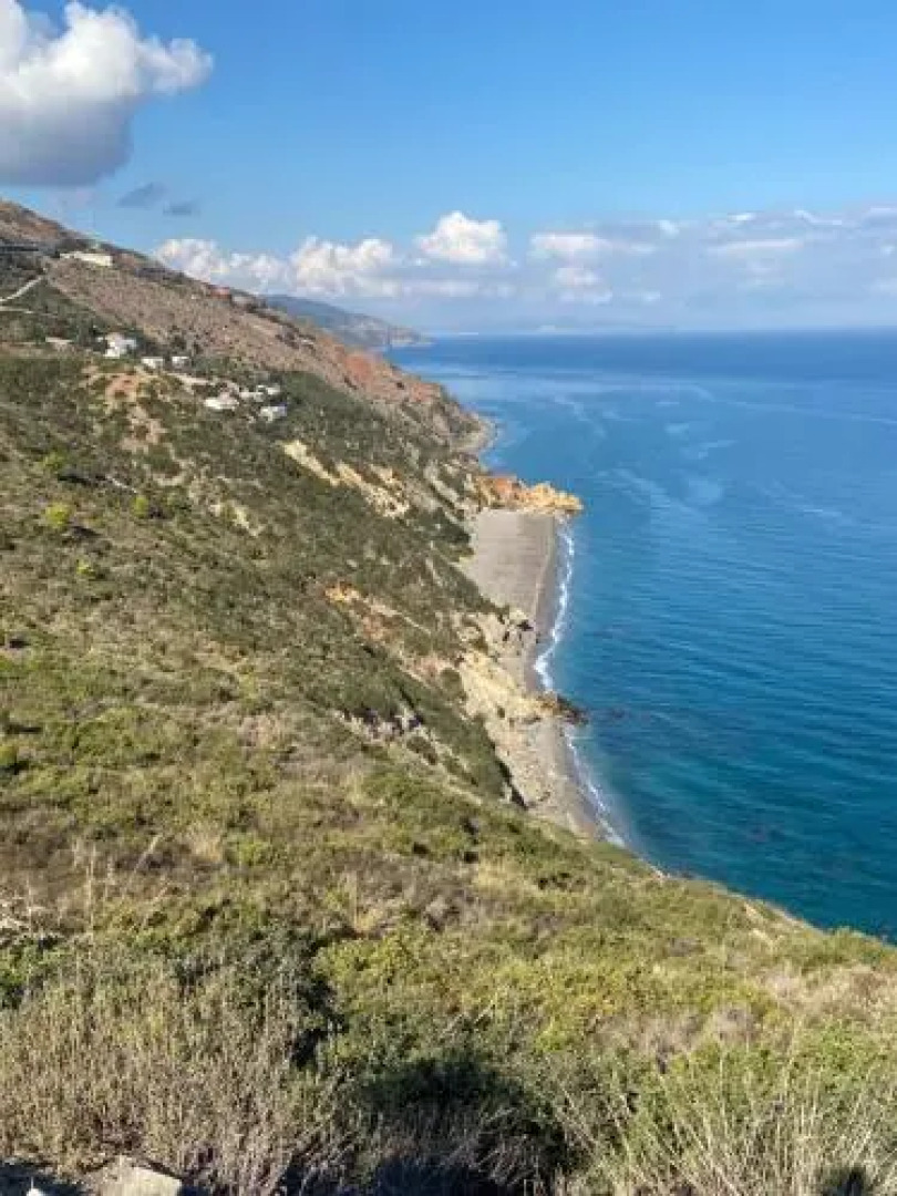 Lilac's Garden Cabo Negro
