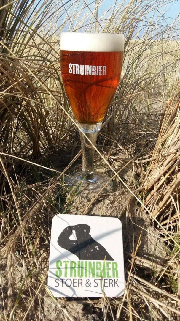 Strandhotel Camperduin