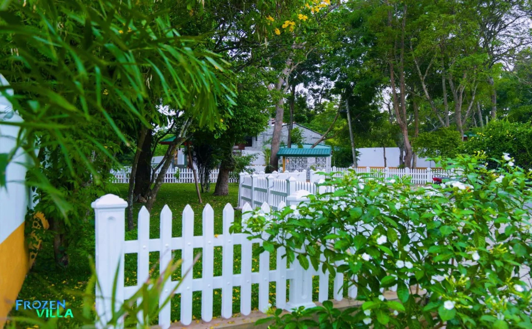 Frozen Villa