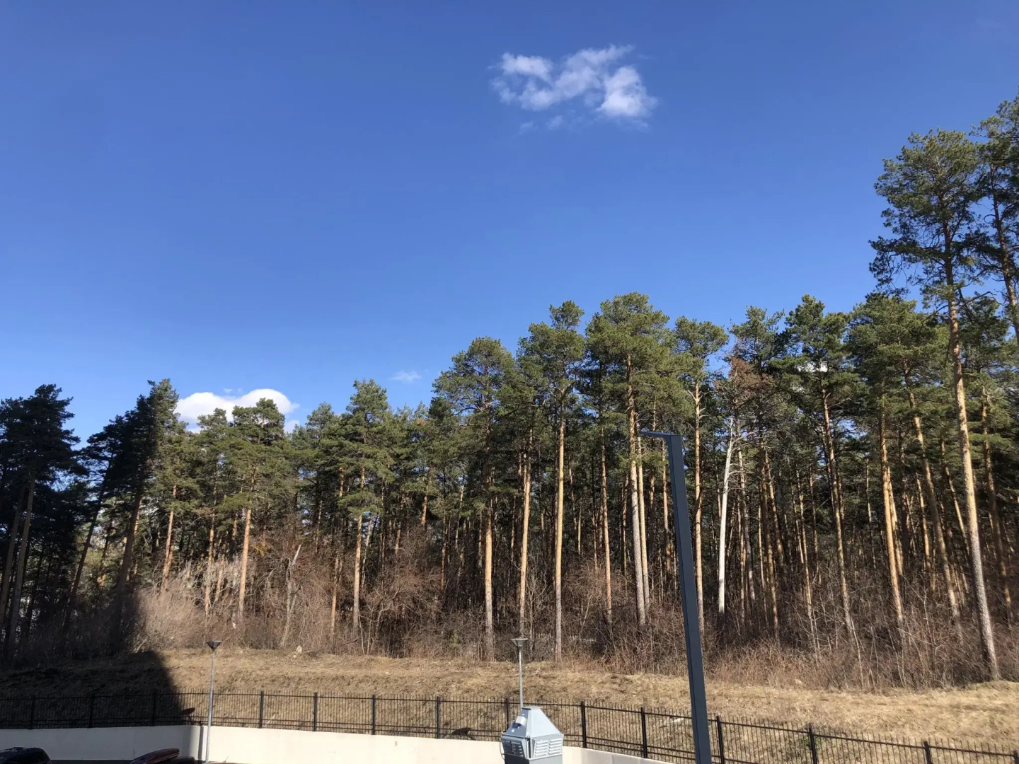 White rabbit apartments на улице Заводская