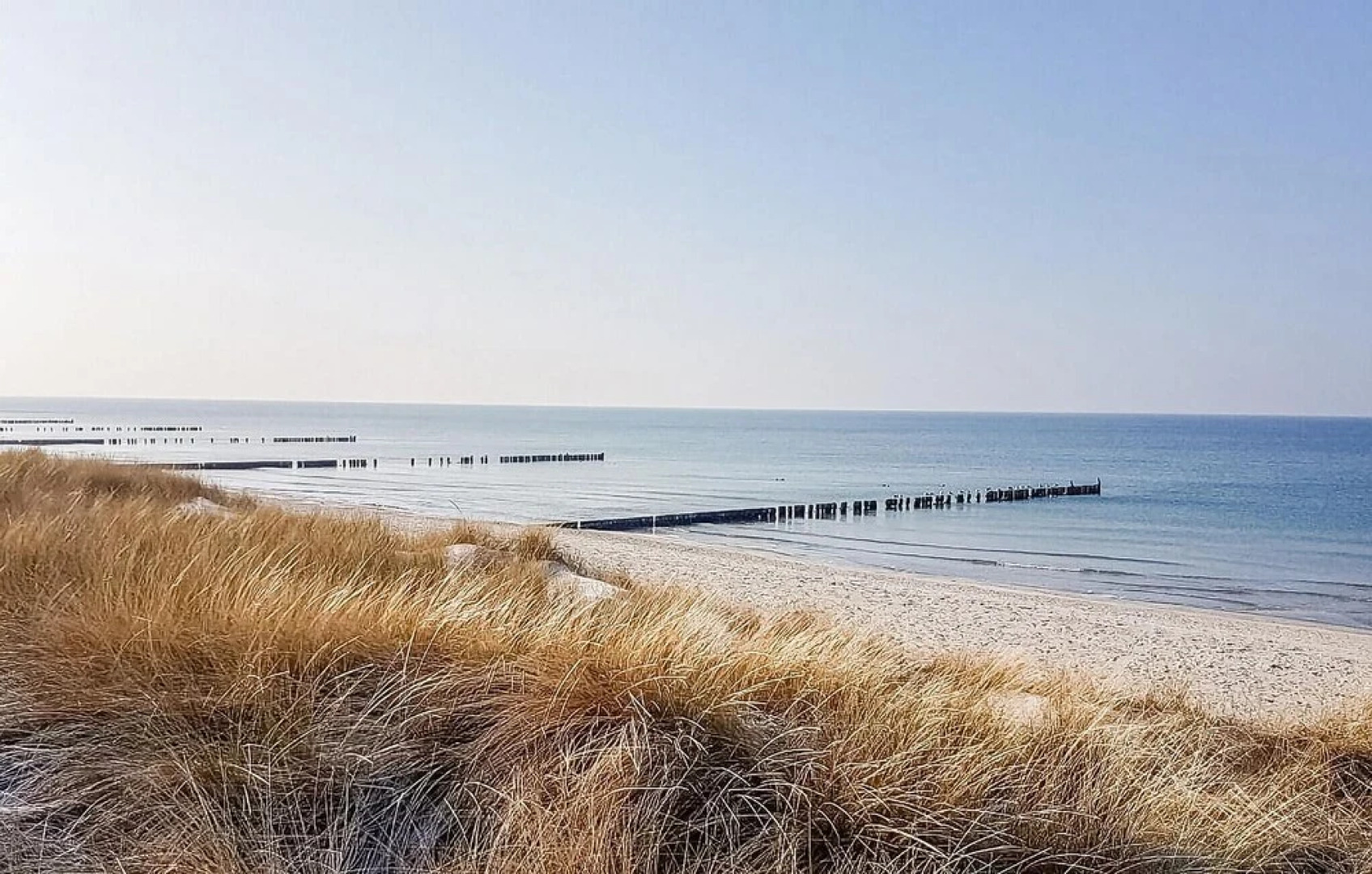 Nice Apartment in Wustrow With 1 Bedrooms