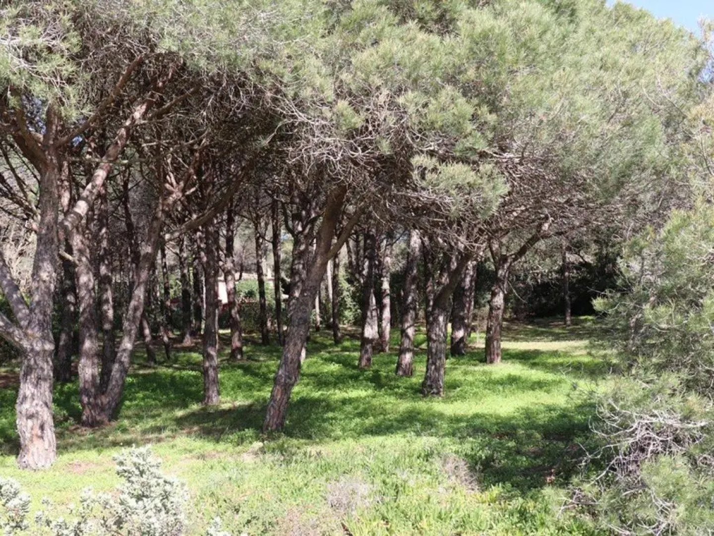 Villa Cavalaire-sur-Mer, 5 pièces, 8 personnes - FR-1-100-209