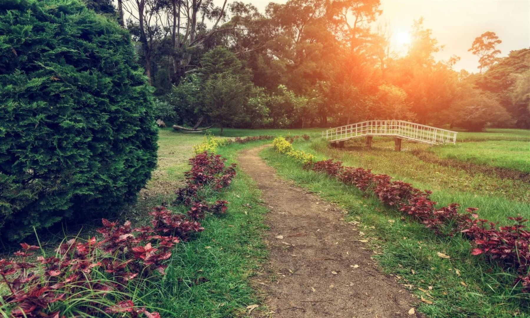 Бутик-отель Langdale by Amaya