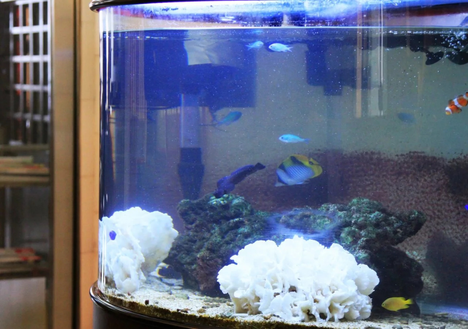 Hotel AreaOne Kagoshima