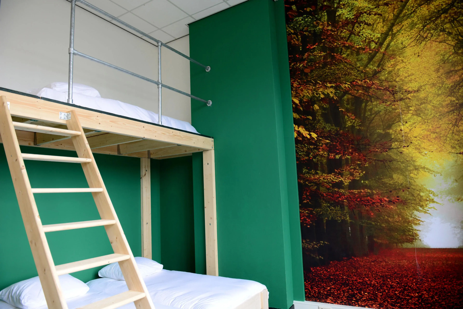Hostel Roots