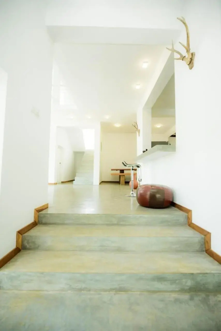 Villa Green Bamboo