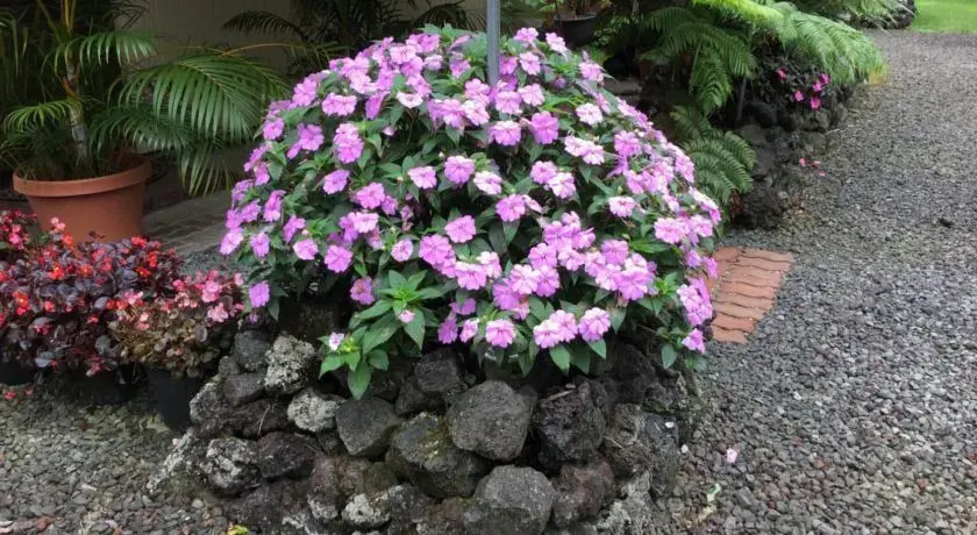 Ekomomai Vacation Rental