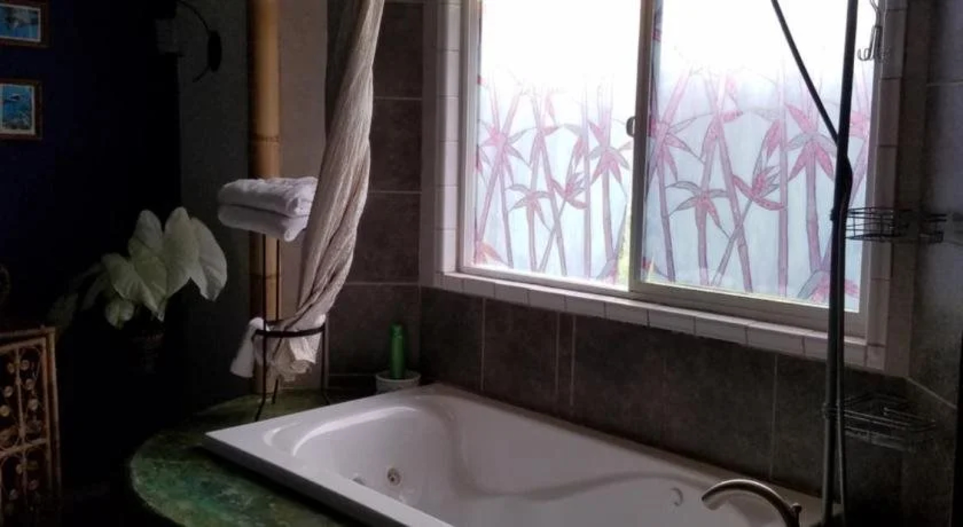 Aloha Crater Lodge and Lava Tube