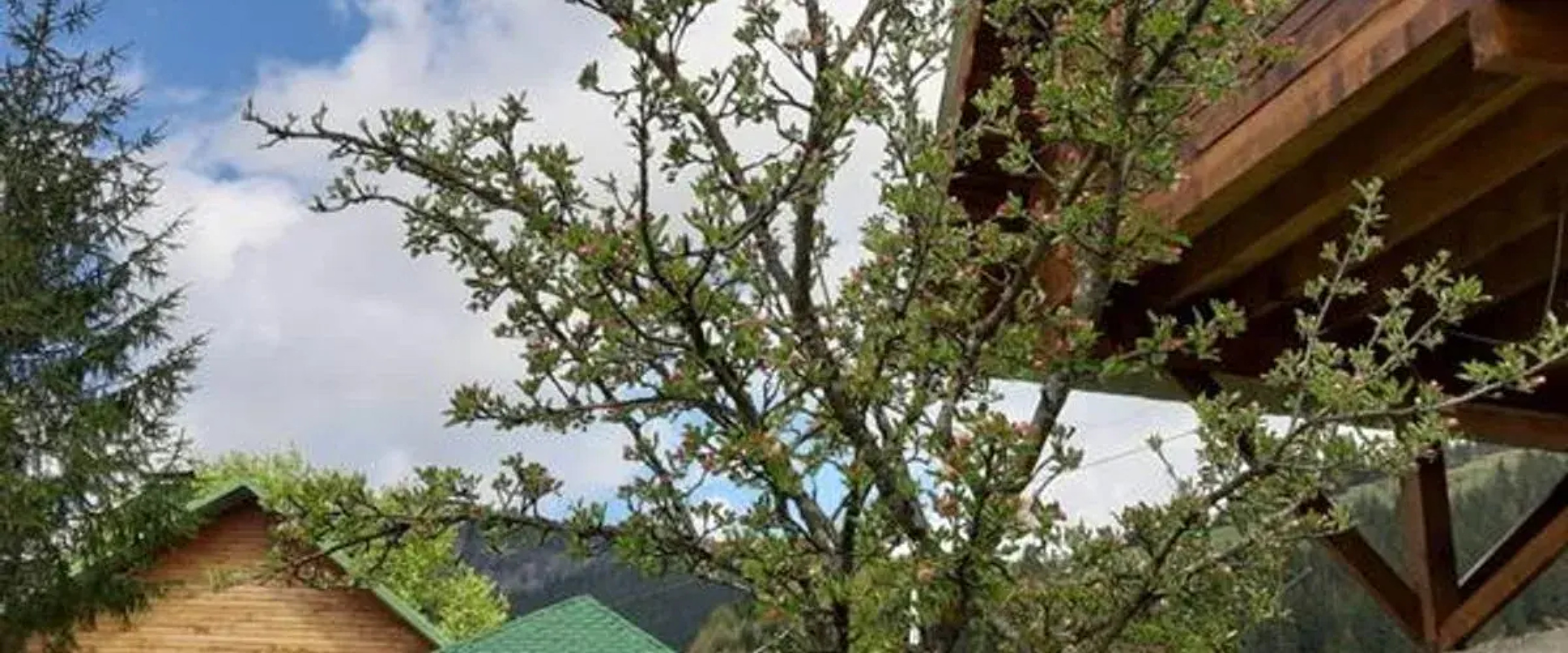 Yayla Bungalov Hotel