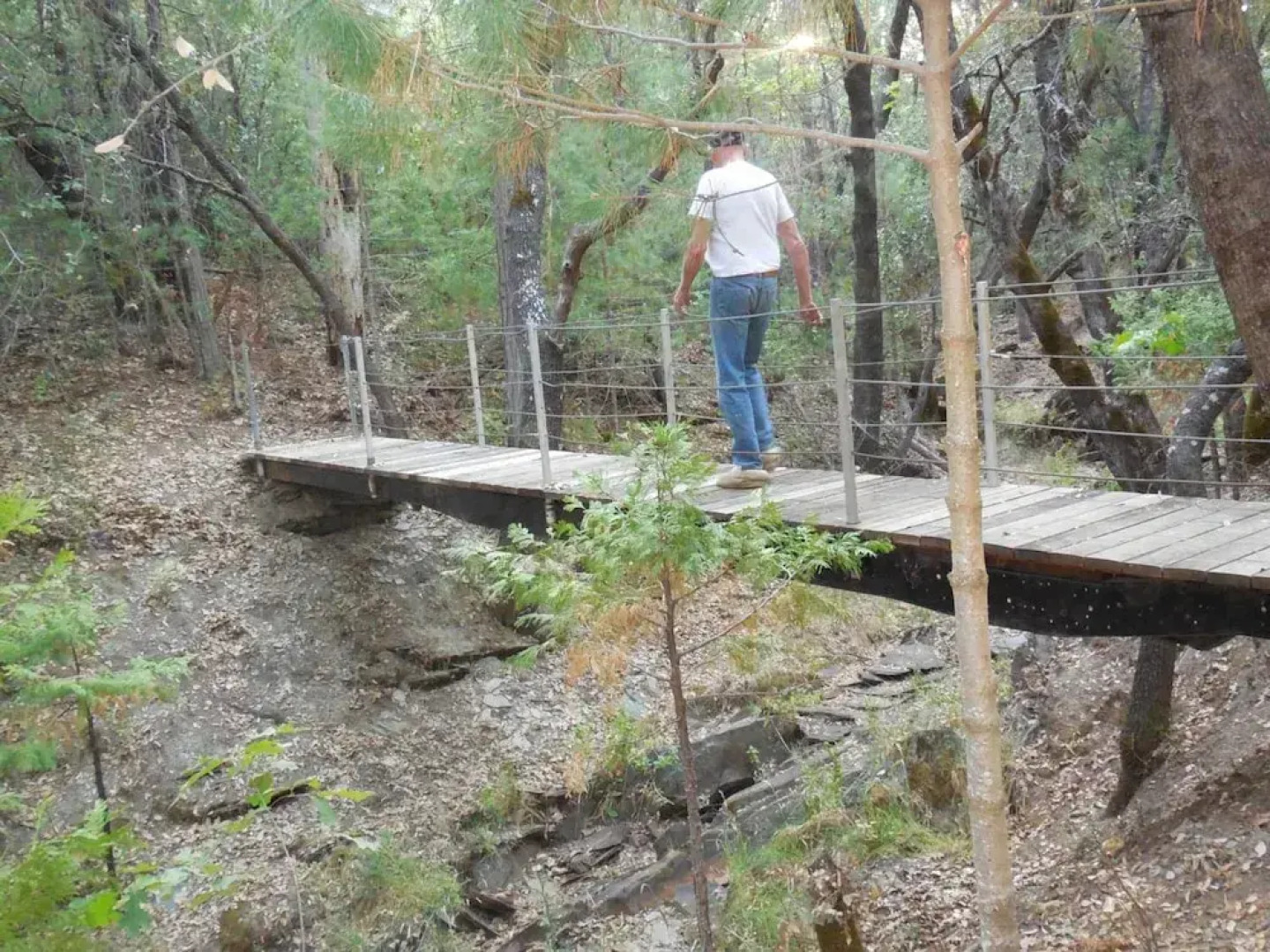 Yosemite Paradise Inn