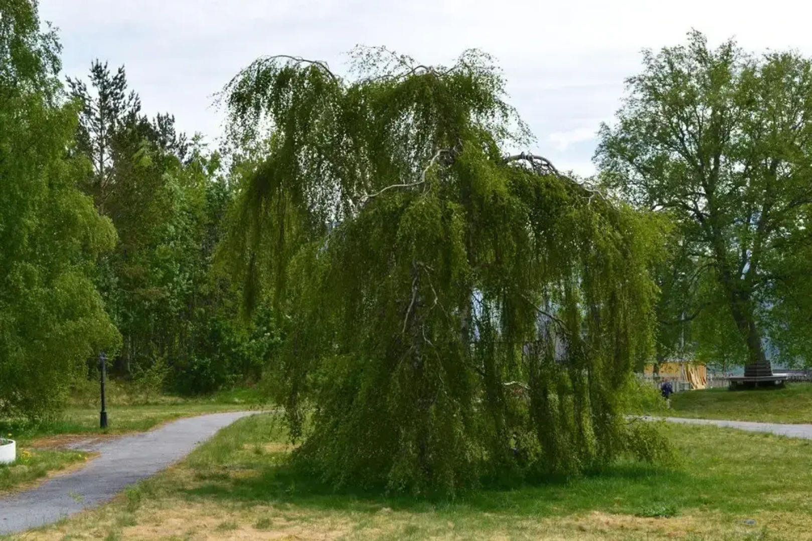Isfjorden Turisthotell & Motell